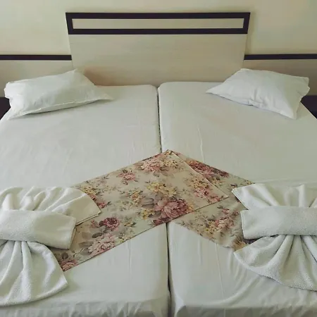 Palma 2* بورغاس